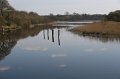 The Erne near Crom, Co. Fermanagh.